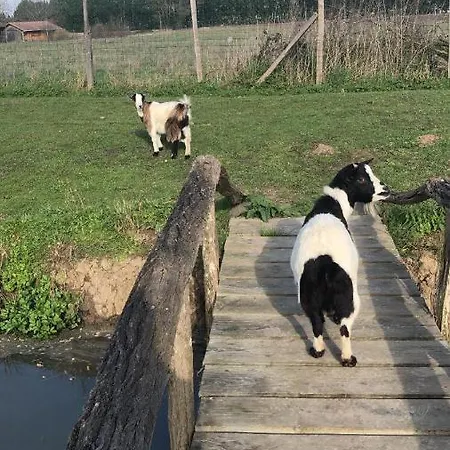 35m2 Domaine Du Vieux Chene Bergerac