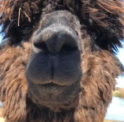 35m2 Domaine Du Vieux Chene