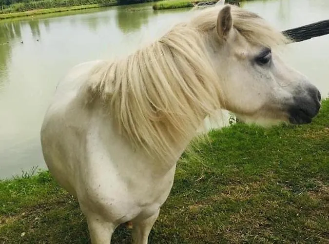 35m2 Domaine Du Vieux Chene Alpehytte